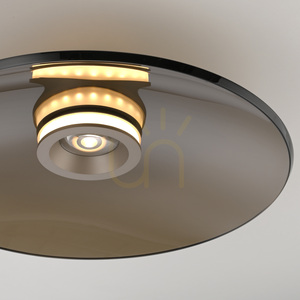 PURE MOON 6095-97, plafonieră maro, 2xLED small 19