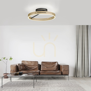 PURE LOOP 6552-68, plafonieră neagră, 2xLED small 2