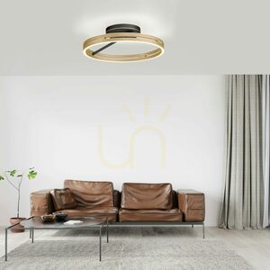 PURE LOOP 6552-68, plafonieră neagră, 2xLED small 21
