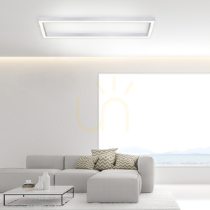 PURE-LINES 6023-95 Lampa de tavan argintie, 1xLED small 2