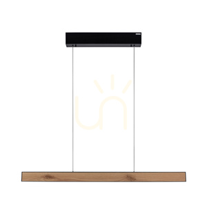 PURE E-MOTION 2570-79 Negru, lampă suspendată cu 2 LED-uri small 16