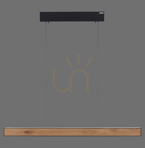Verifica PURE E-MOTION 2570-79 Negru, lampă suspendată cu 2 LED-uri