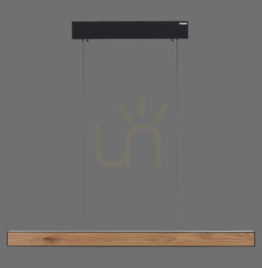 PURE E-MOTION 2570-79 Negru, lampă suspendată cu 2 LED-uri small 0
