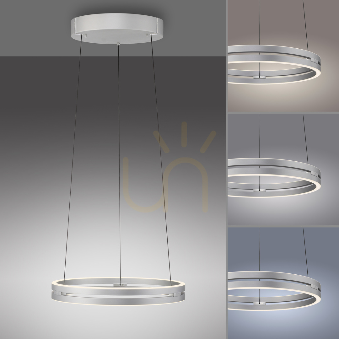 Verifica Lampa suspendată PURE E-LOOP 2550-95 argintie cu 2 LED-uri Lampa suspendată PURE E-LOOP 2550-95 argintie cu 2 LED-uri