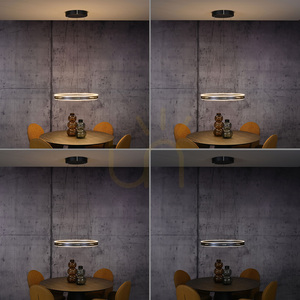 Paul Neuhaus PURE E-Loop 2551-15 lampa suspendată gri cu 2 LED-uri, cu înălțime reglabilă electric small 22