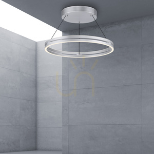 PUREE-LOOP 2551-95 Argintiu, lampă suspendată cu 2 LED-uri small 11