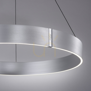 Lampa suspendată PURE E-CLIPSE 2561-95 argintie cu 2 LED-uri small 10