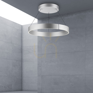 Lampa suspendată PURE E-CLIPSE 2561-95 argintie cu 2 LED-uri small 11