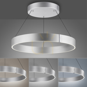 Lampa suspendată PURE E-CLIPSE 2561-95 argintie cu 2 LED-uri small 5