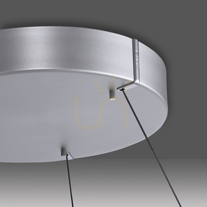 Lampa suspendată PURE E-CLIPSE 2561-95 argintie cu 2 LED-uri small 9