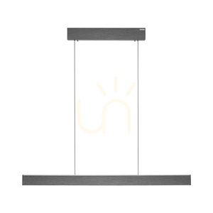 PURE E-MOTION 2570-15 Gri, lampă suspendată cu 2 LED-uri small 16
