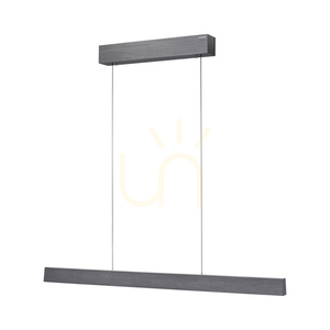 PURE E-MOTION 2570-15 Gri, lampă suspendată cu 2 LED-uri small 7