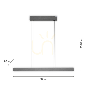 PURE E-MOTION 2570-15 Gri, lampă suspendată cu 2 LED-uri small 8