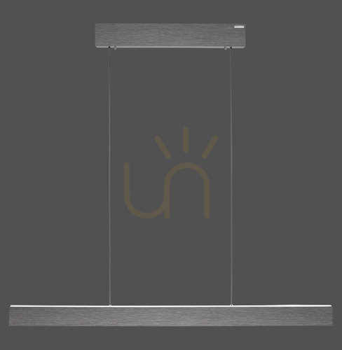 Verifica PURE E-MOTION 2570-15 Gri, lampă suspendată cu 2 LED-uri