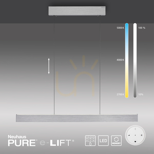 PURE E-MOTION 2570-95 Argintiu, lampă suspendată cu 2 LED-uri small 12