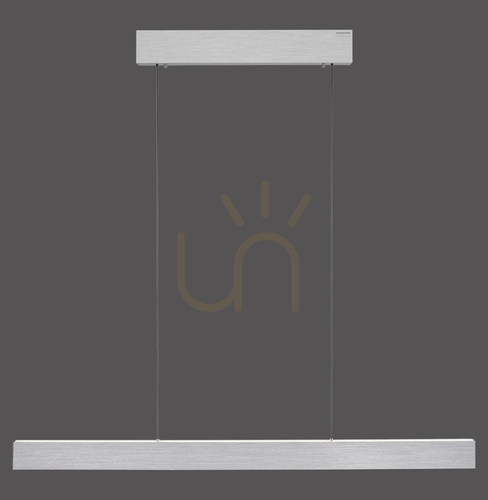 Verifica PURE E-MOTION 2570-95 Argintiu, lampă suspendată cu 2 LED-uri