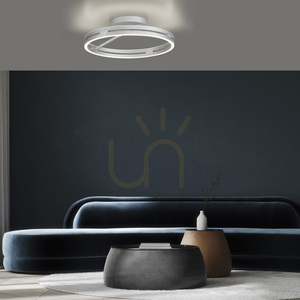 PURE LOOP 6552-95, plafonieră argintie, 2xLED small 2
