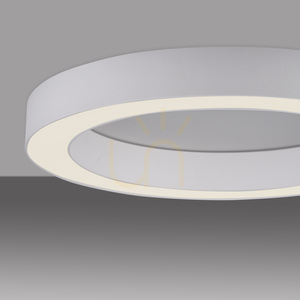 Plafonieră Paul Neuhaus PURE Lines Round 6310-16, alb small 11