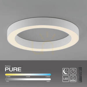 Plafonieră Paul Neuhaus PURE Lines Round 6310-16, alb small 4