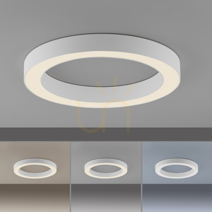 Plafonieră Paul Neuhaus PURE Lines Round 6310-16, alb small 9
