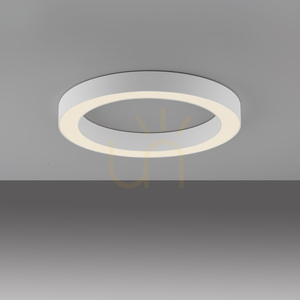 Plafonieră Paul Neuhaus PURE Lines Round 6310-16, alb small 0