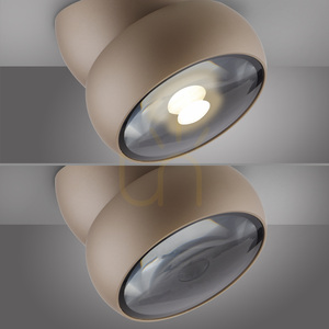PURE MOVE 6235-97 Lampa de tavan, maro, 1xLED small 3
