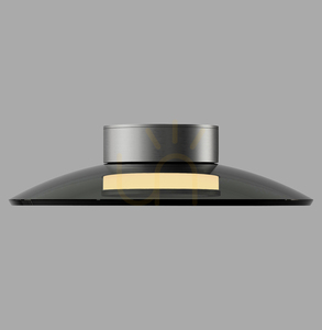 PURE MOON 6094-15 Lampa de tavan, gri, 2xLED small 0