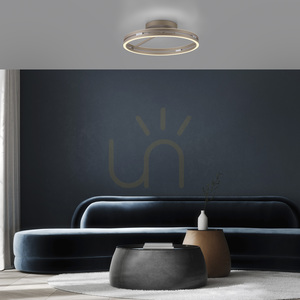 PURE LOOP 6552-97, plafonieră maro, 2xLED 3 PURE LOOP 6552-97, plafonieră maro, 2xLED small 3
