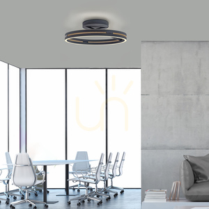 PURE LOOP 6552-18, plafonieră neagră, 2xLED small 10