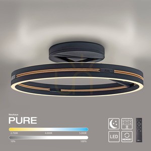 PURE LOOP 6552-18, plafonieră neagră, 2xLED small 5