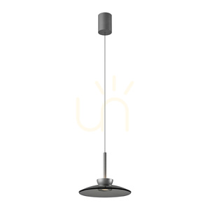 PURE MOON 2191-15 Lampa suspendată gri cu 2 LED-uri 1 PURE MOON 2191-15 Lampa suspendată gri cu 2 LED-uri small 1