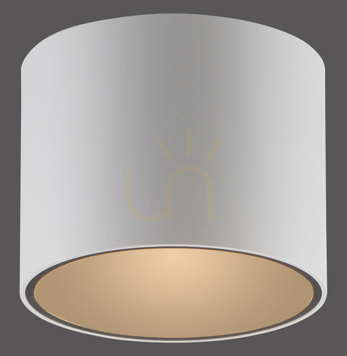 Verifica PURE POINT 6761-16 Lampa de tavan albă, 1xLED