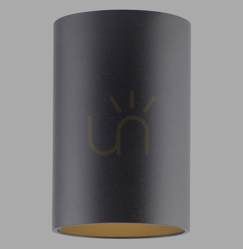 Verifica PURE POINT 6749-18 Lampa de tavan, negru, 1xLED