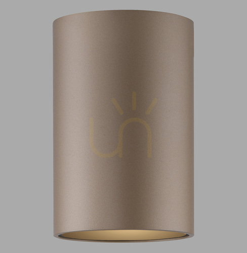 Verifica PURE POINT 6749-97 Lampa de tavan, maro, 1xLED