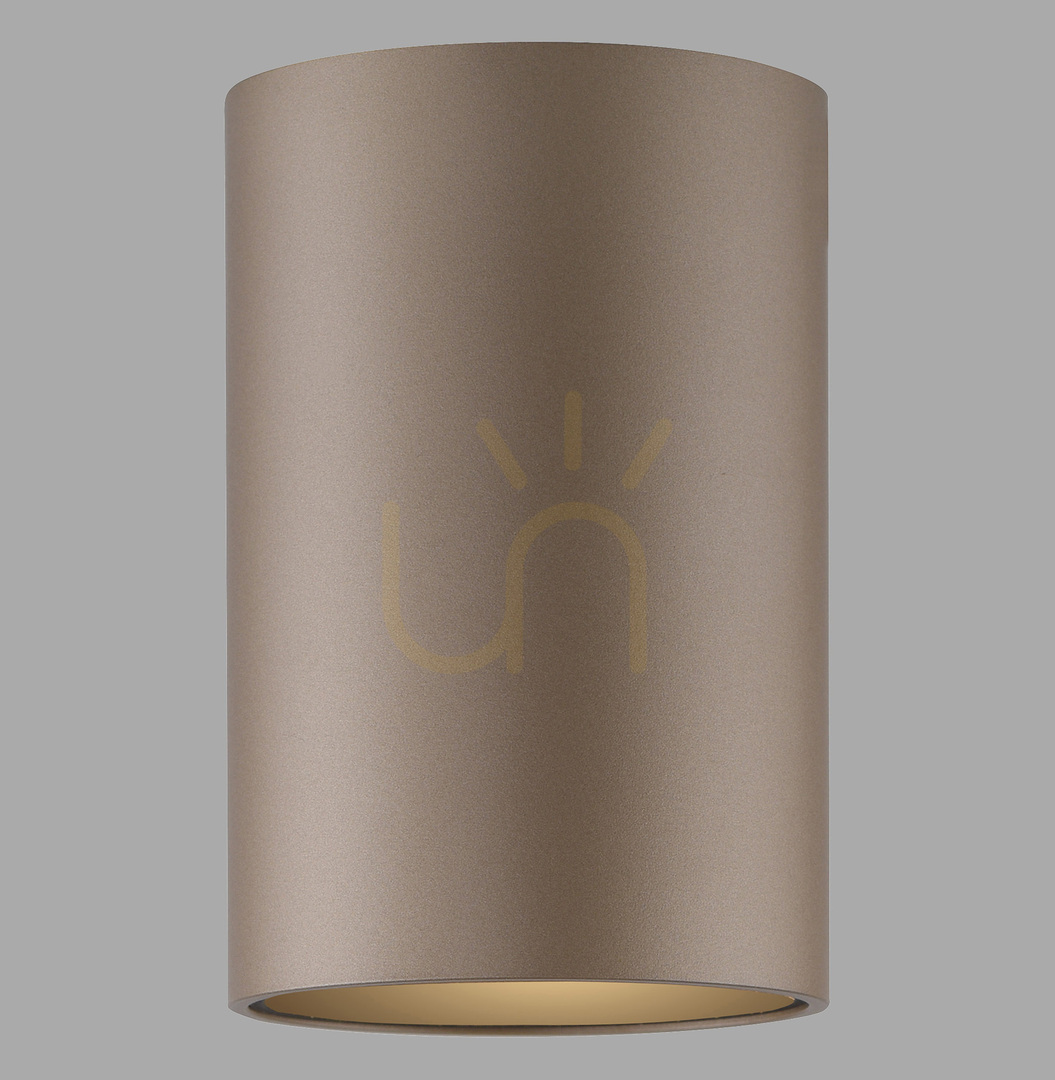 Verifica PURE POINT 6749-97 Lampa de tavan, maro, 1xLED PURE POINT 6749-97 Lampa de tavan, maro, 1xLED