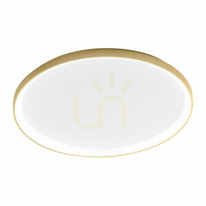 Auriu