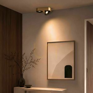 Spot LED de tavan cu 2 lumini s.luce Santa Duo, 22 W, 2700 K, argintiu, reglabil și dimabil small 9