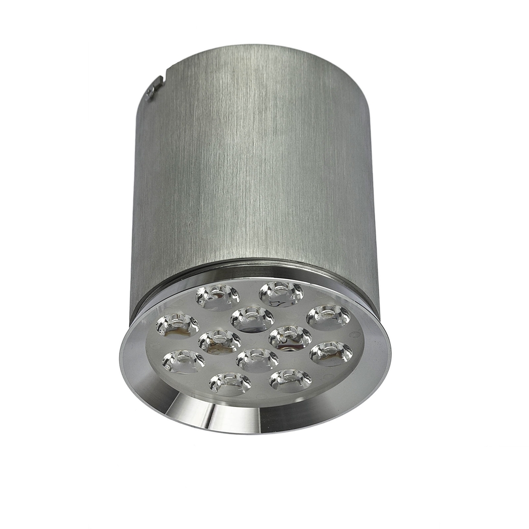Verifica Chloe 12 Led 230 V 12 W Ip20 60 St Cw Plafon Chloe 12 Led 230 V 12 W Ip20 60 St Cw Plafon