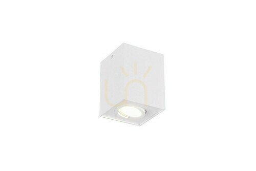 Verifica Lentile de plafon Trio BISCUIT 613000131