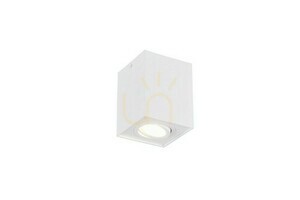 Lentile de plafon Trio BISCUIT 613000131 small 0