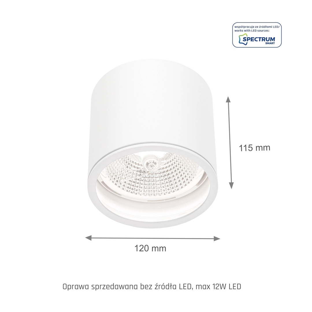 Afişa Chloe Ar111 Gu10 Ip65 alb rotund fix Chloe Ar111 Gu10 Ip65 alb rotund fix